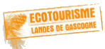 Ecotourisme